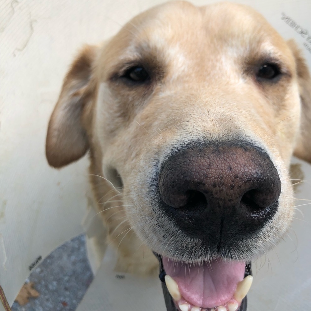 Meet your Posher, Marissa